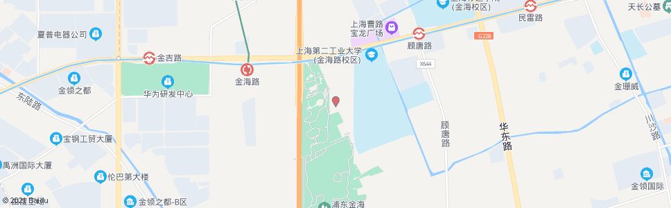 上海共新村_公交站地图_上海公交_妙搜公交查询2025