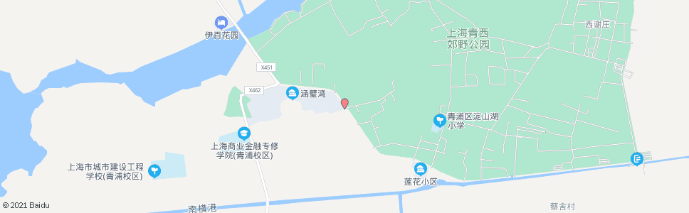 上海练西公路东天村_公交站地图_上海公交_妙搜公交查询2025